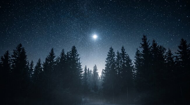 Ultra realistic dark forest at night, deep blue starry sky filled with countless tiny stars, a single brilliant glowing star shining brightly above the pine trees, silhouettes of tall evergreen forest