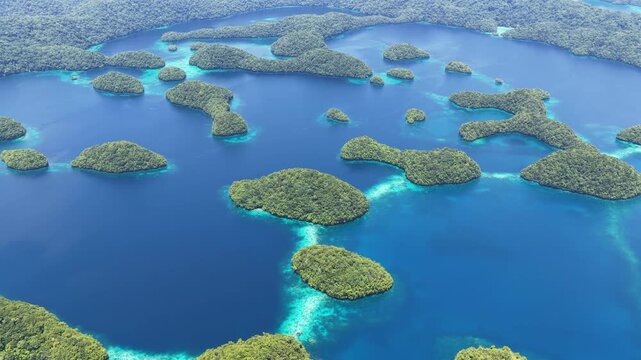 Biodiverse coral reefs thrive amid Palau's scenic Rock Islands. This extraordinarily beautiful island-nation is a popular destination for divers, snorkelers, kayakers, and World War II historians. 
