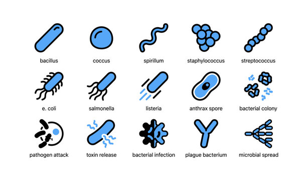 Bacteria icons labeled by type arranged in grid on white