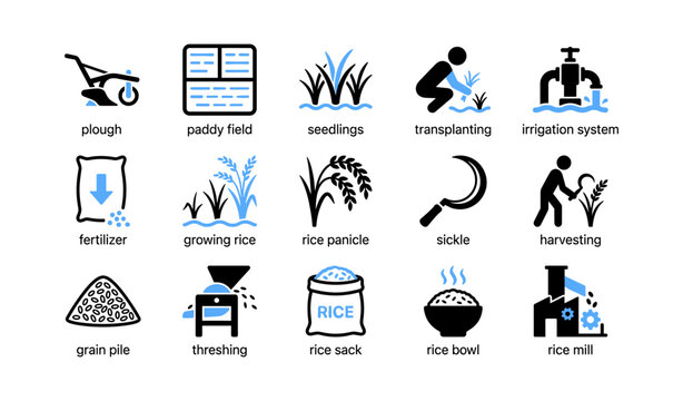 Rice cultivation icons showing planting harvesting and processing