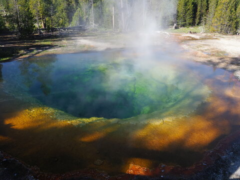 Morning Glory Pool in Old Faithful