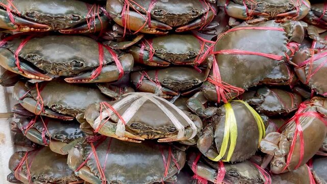 Fresh raw crabs at seafood market