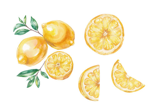 Hand-painted watercolor illustration of lemons, slice, halves, leaves, in transparent background