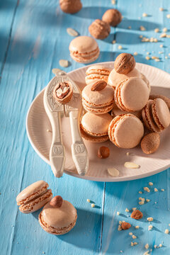 Sweet and delicious nut macarons on plate on yellow background.