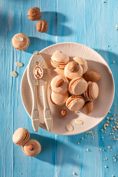 Delicious nut macarons made of hazelnut, walnut and almond.