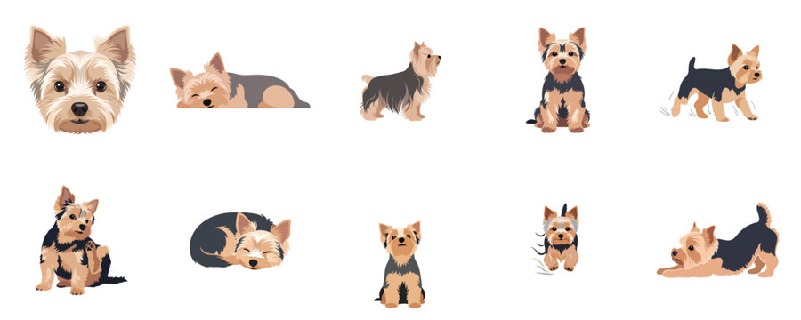 Yorkshire Terrier Adorable Puppy Flat Design Pet Vector Illustration