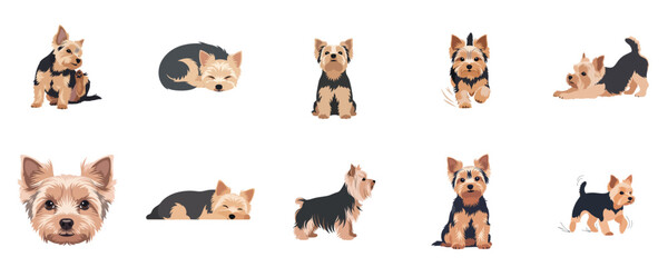 Yorkshire Terrier Puppy Dog Flat Design Pet Vector Illustration © NineteenVisualStudio
