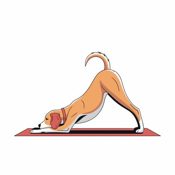 Dog Performing Downward Facing Dog Yoga Pose on Mat.