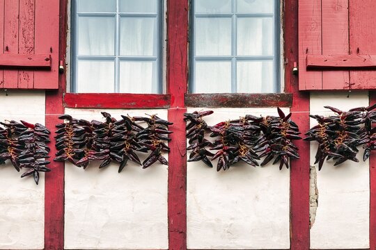 Chilli peppers, Piment dEspelette hanging to dry on facade, typical window with red shutters, detail, Espelette, D&eacute;partement Pyr&eacute;n&eacute;es-Atlantiques. Region Nouvelle-Aquitaine, Pays Basque, Basque Country, France