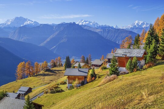 Autumn landscape with chalets above the Rhone valley and panorama of Fletschhorn 3985m, Dom 4545m, Matterhorn 4478m and Weisshorn 4505m, Riederalp, Goms, Rhone valley, Upper Valais, Valais, Switzerland