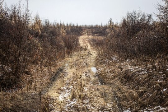 Sunken Road, Permafrost, Chersky, Yakutia, Russia