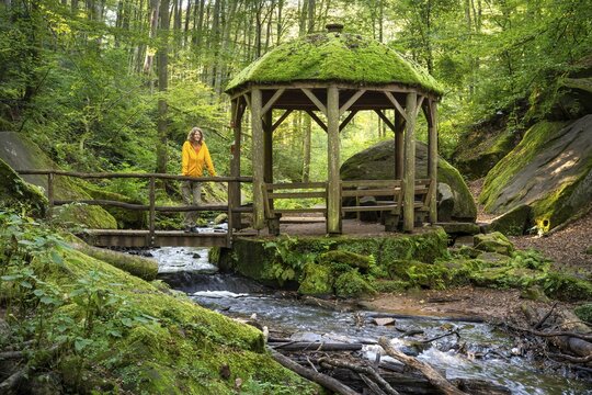 Hiker in the pavilion, the Moosalb stream in the forest in the Karlstal Gorge. Karlstal Gorge nature reserve, Karlstal, Palatinate Forest, Rhineland-Palatinate, Germany