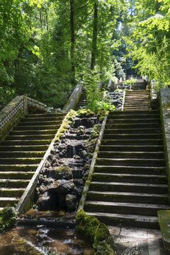 Moosbedeckte Steintreppe mit Wasser, umgeben von &uuml;ppiger gr&uuml;ner Vegetation und B&auml;umen im Wald, Quelle Fonte Fr&iacute;a, Fonta Fria, Mata Nacional do Bu&ccedil;aco, National-Wald von Bussaco, Bucaco, Mealhada, Beira Litoral, Portugal