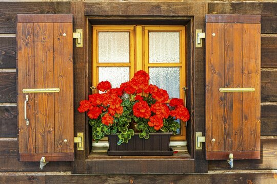 Window with wooden shutters decorated with geraniums (Pelargonium), historic village centre, Grimentz, Val d'Anniviers, Valais Alps, Canton Valais, Switzerland