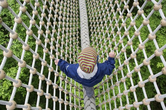 Toddler, 3 years, walking over a secured rope above treetops, Hainich Tree Top Walk, Hainich National Park, Thuringia, Germany