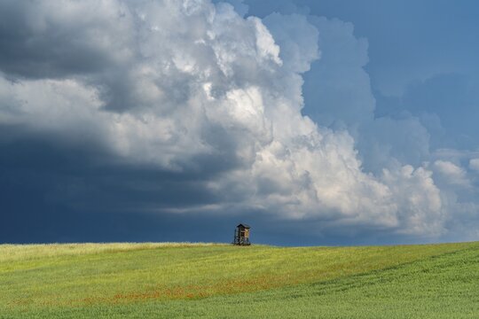 Solitary high seat in fields with oats, wheat and poppies in front of a dramatic sky with thunderclouds, village Brodowin, Barnim, Brandenburg, Germany