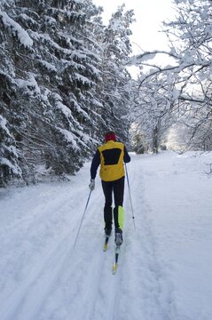 Cross-country skier in snow covered forest Perlacher Forst Munich Germany MR