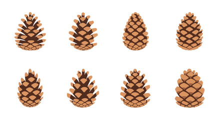 Collection of Pine Cones Isolated on White Background © Stephanie