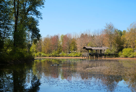 Fishtrap Creek Park during a spring season in Abbotsford, British Columbia, Canada