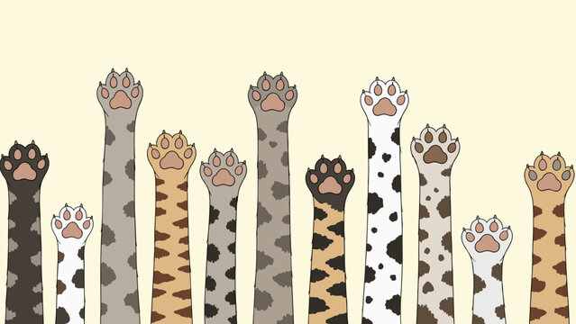 Playful collection of diverse cat paws with different fur patterns reaching upwards against a light yellow background.