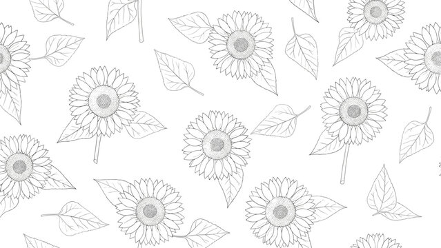 Elegant seamless pattern of blooming sunflowers and leaves in delicate black and white line art on a white background.