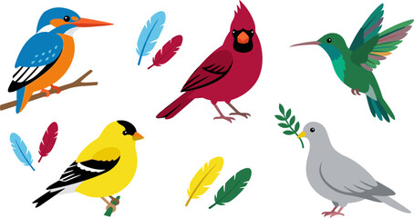 Obraz premium Colorful North American and Exotic Bird Vector Character Set with Cardinal Kingfisher Hummingbird Goldfinch Dove and Feathers Isolated on White