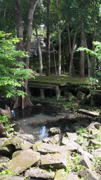 Ancient ruins overgrown with jungle vegetation in Prasat Beng Mealea, Siem Reap, Cambodia. The crumbling stone structures and water features suggest a lost civilization.