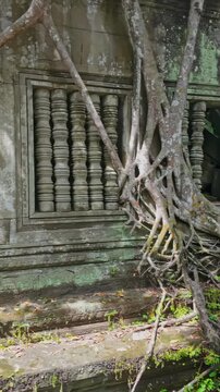 Ancient stone windows of a temple in Prasat Beng Mealea, Siem Reap, Cambodia are overgrown with the roots of a large tree, showcasing nature's reclamation.