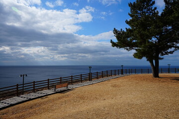 Fototapeta premium seaside cliff boardwalk and bench
