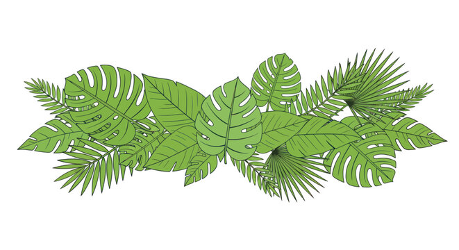 Green Tropical Leaves Banner - Exotic Foliage Border