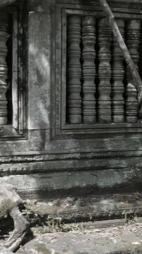 Ancient stone carvings and tree roots intertwine at  Prasat Beng Mealea, Siem Reap, Cambodia.. This iconic jungle temple is famous for its atmospheric ruins. ,