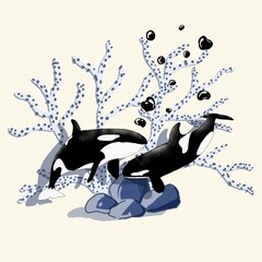 orcas playing under the sea © Ferridian