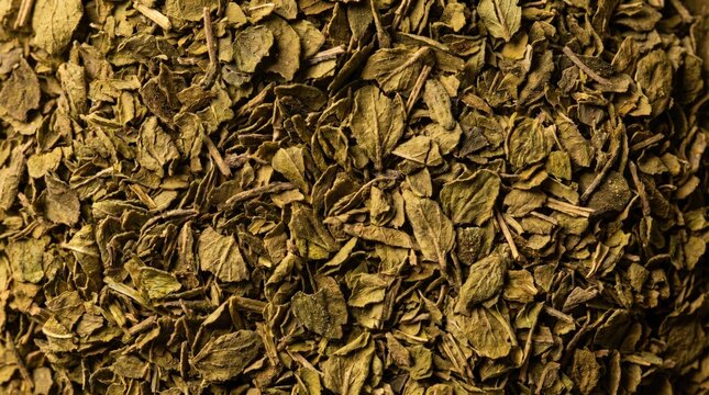 Close up macro view of dried green mint leaves and stems creating a textured background dried mint
