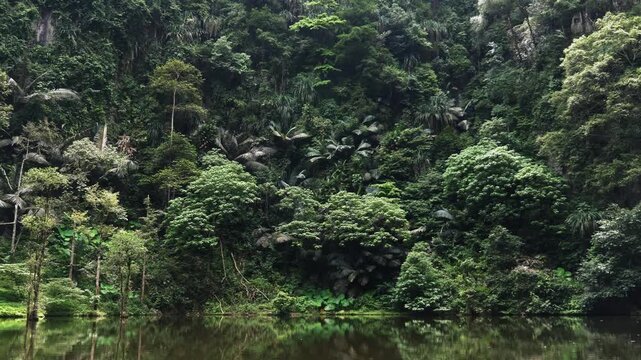 Lush tropical rainforest reflecting on calm lake water, Tasik Cermin Mirror Lake in Ipoh Malaysia, green jungle and limestone hills, eco tourism and travel background