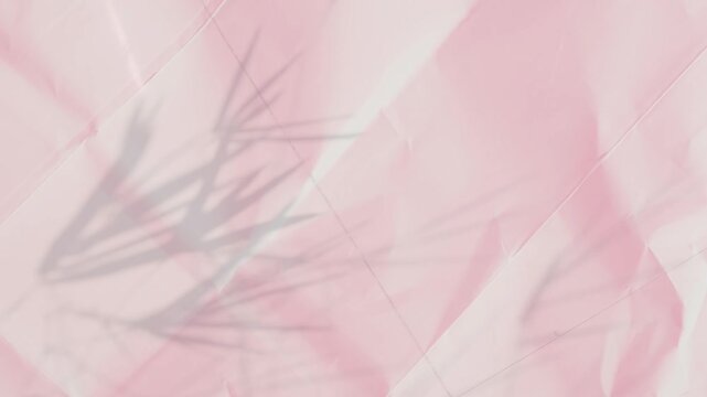 Abstract shadow pink bamboo leeaf premium gradation background texture blur gradient light pastel abstract luxury premium mockup peach color backdrop template valentine summer spring overlay mockup