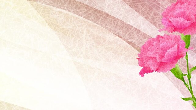 Pink carnation flowers on abstract Japanese paper background animation