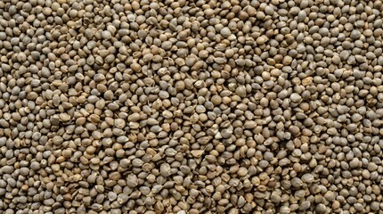Fototapeta premium A dense, tightly packed field of small, oval shaped pearl millet seeds in shades of light brown and grey
