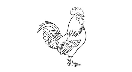 Rooster standing on white background. © ainul