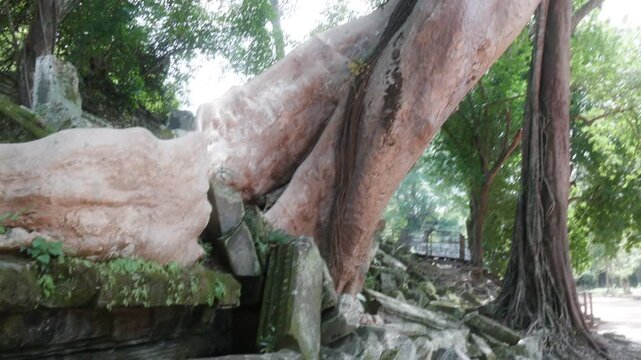 Ancient stone ruins overgrown with moss and tree roots at Beng Mealea temple, Cambodia. The temple is a popular tourist destination.