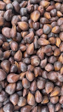 Ripe Brown Hash Pearls Close Up