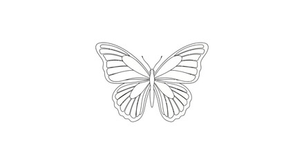 Delicate Butterfly Outline Drawing - Simple Insect Sketch, Minimalist Art © intan