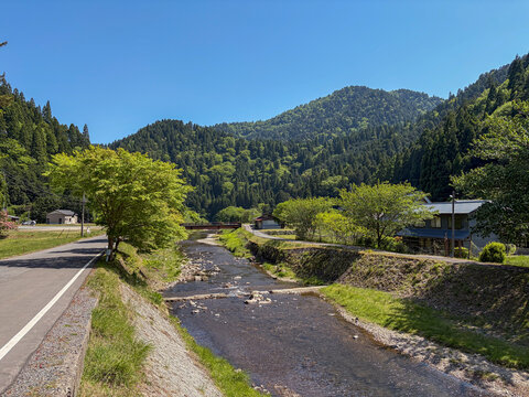 京都市左京区広河原の清流と新緑