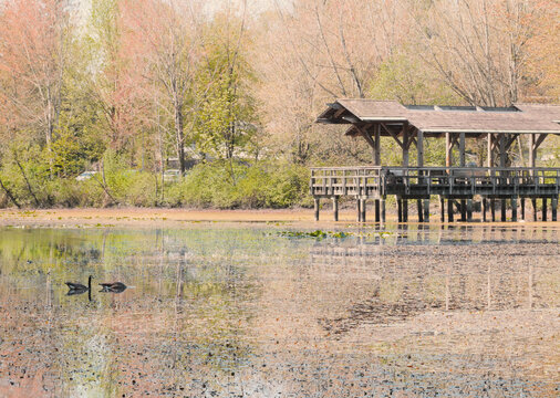 Fishtrap Creek Park during a spring season in Abbotsford, British Columbia, Canada