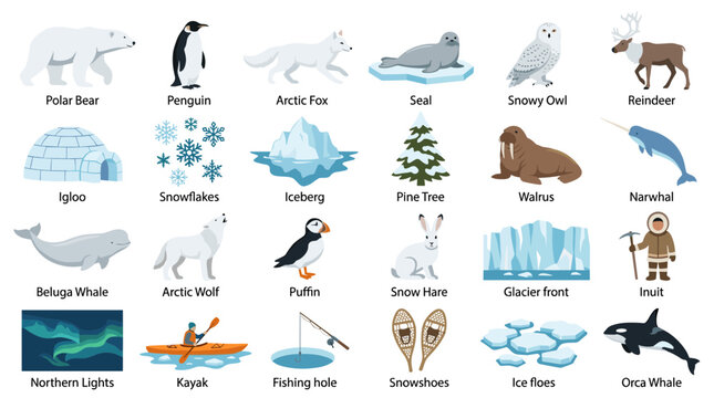 Collection of Arctic animals and winter elements, including polar bear, penguin, arctic fox, seal, snowy owl, reindeer, igloo, snowflakes, iceberg, pine tree, walrus, narwhal, beluga whale