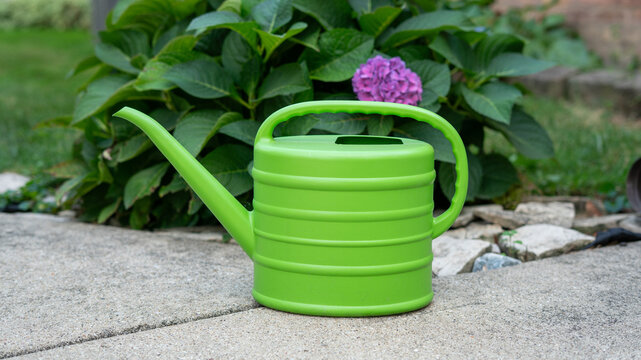 Bright Light Green Plastic Watering Can with Purple Flower Background