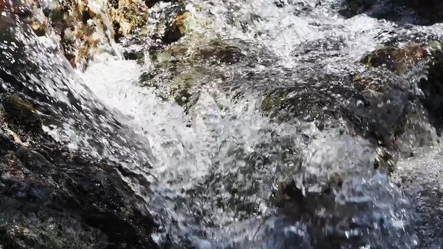 川の流れのクローズアップ。山岳地帯の清流、渓流。水飛沫。泡立ち。川音。避暑。静寂。自然風景。