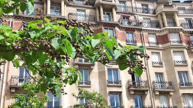 Classic Haussmann Architecture and Apartment Building Facade in Paris France