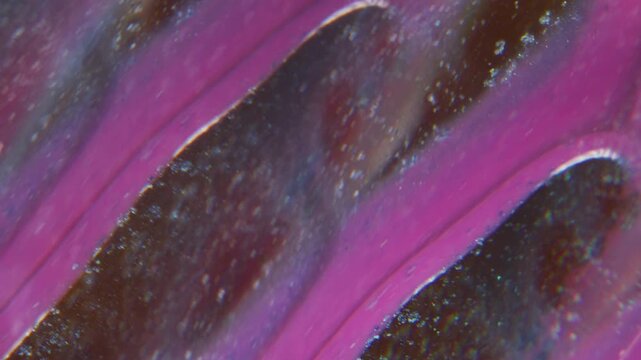 Defocused ink spill. Trickles paint. Bright color pink fluid flow on glass texture. Watercolor blob splash art prism effect abstract background.