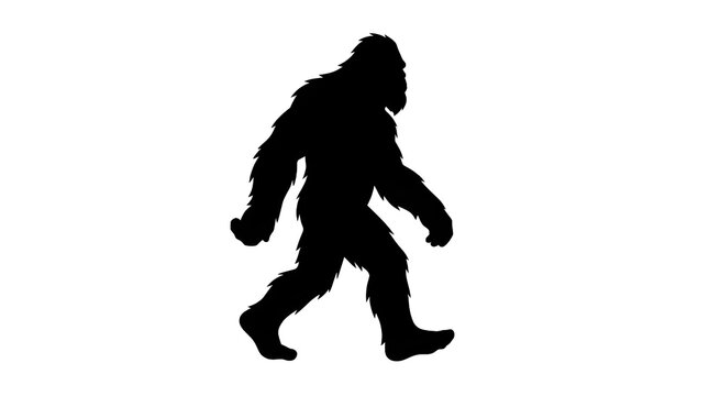 Silhouette of Mythical Bigfoot Creature Walking in Dark Forest at Dusk
