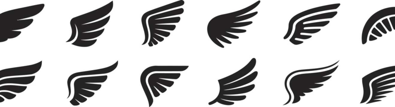 Black and white zebra head vector illustration with flying eagle bird silhouette wings design